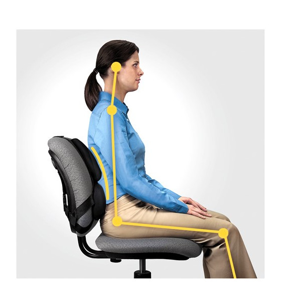 Fellowes Ergonomia podpórka poduszka profesjonalna pod plecy