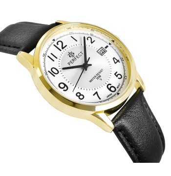 Zegarek Męski PERFECT C710T-09