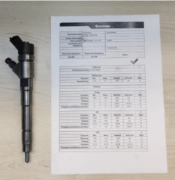 Wtryskiwacz Fiat Ducato 2.3 JTD/Multijet 2006-2014 - 0445110273